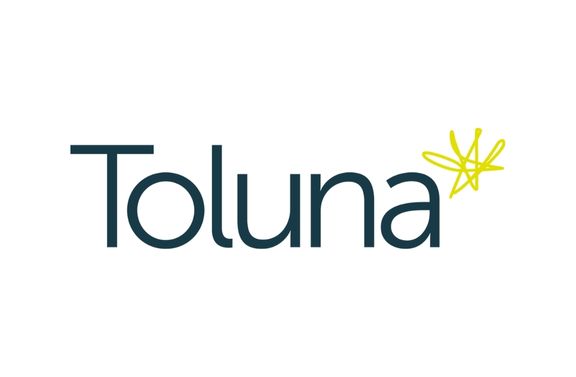 Toluna online survey
